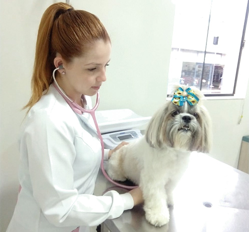 Clínica Veterinária